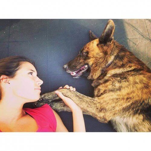 padrona coccola il proprio cane sdraiato