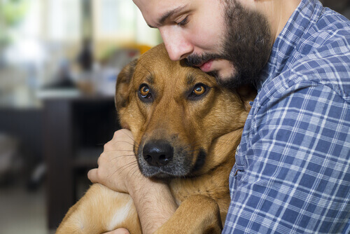 Padrone abbraccia con affetto un cane malato