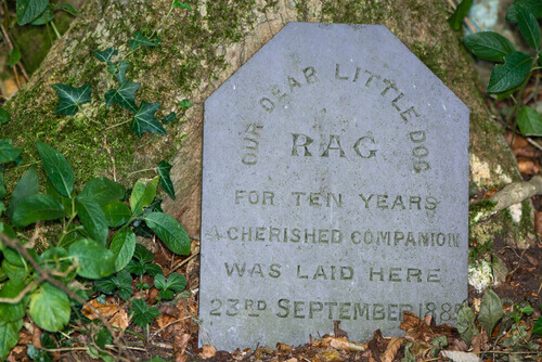 Lapide di un cane seppellito