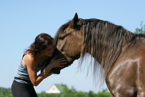 una ragazza abbraccia cavallo