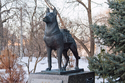 una statua dedicata ai Cani da ricerca e salvataggio