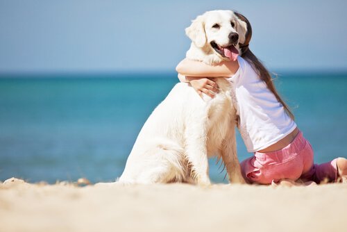 5 cose da non fare al cane: scopritele