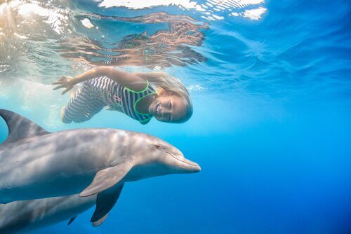 bambina che nuota con delfino 