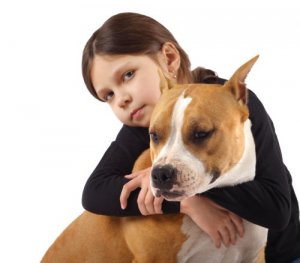 Volete sapere come educare un Pitbull?