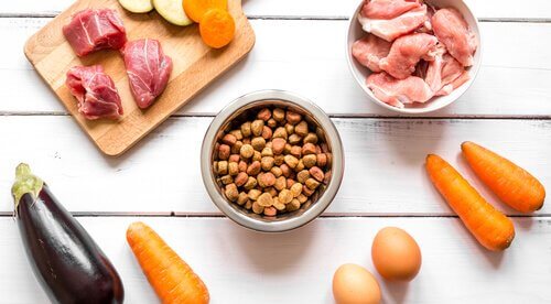ingredienti per cibo per cani