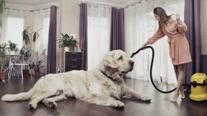 Come tenere la casa pulita anche con cani e gatti