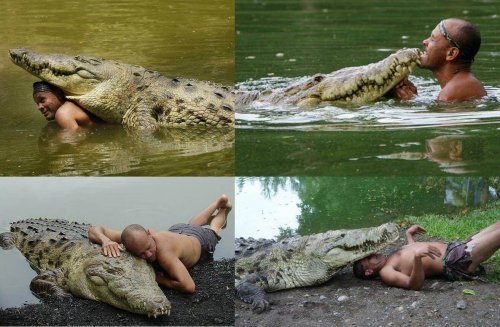 La sorprendente amicizia tra un uomo e un coccodrillo