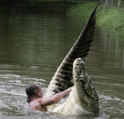 il pescatore Gilberto nuota con il coccodrillo Pocho