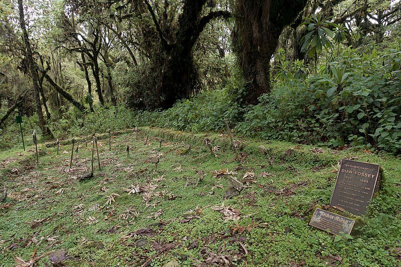 la tomba di Dian Fossey