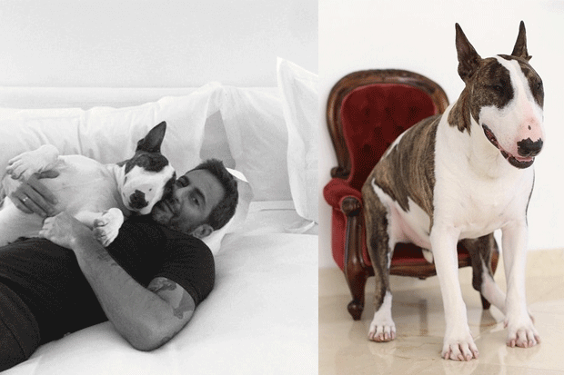 Marc Jacobs con il suo cane Neville