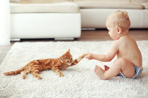 neonato gioca col gatto su un tappeto bianco