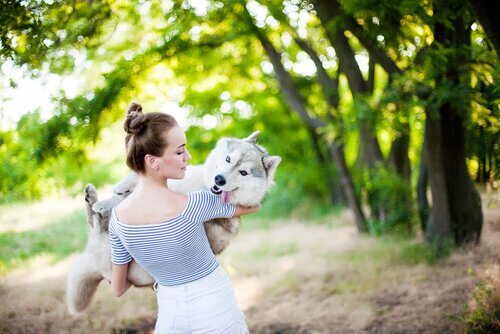 ragazza prende in braccio husky