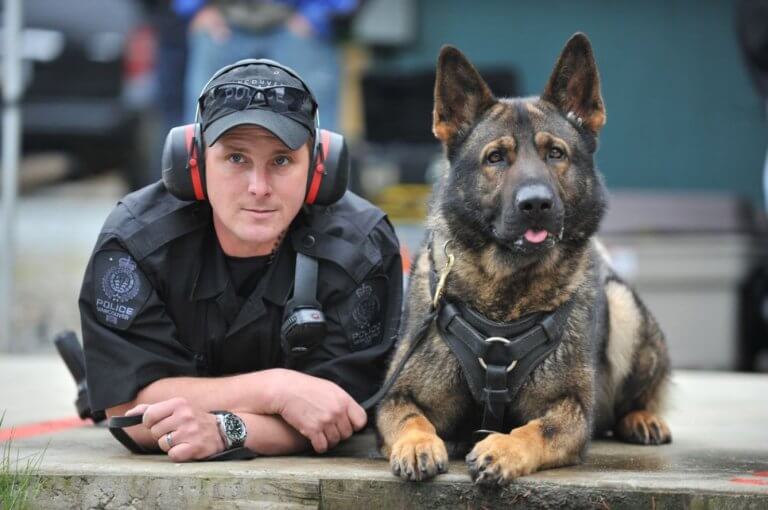 Cane poliziotto accanto a un agente