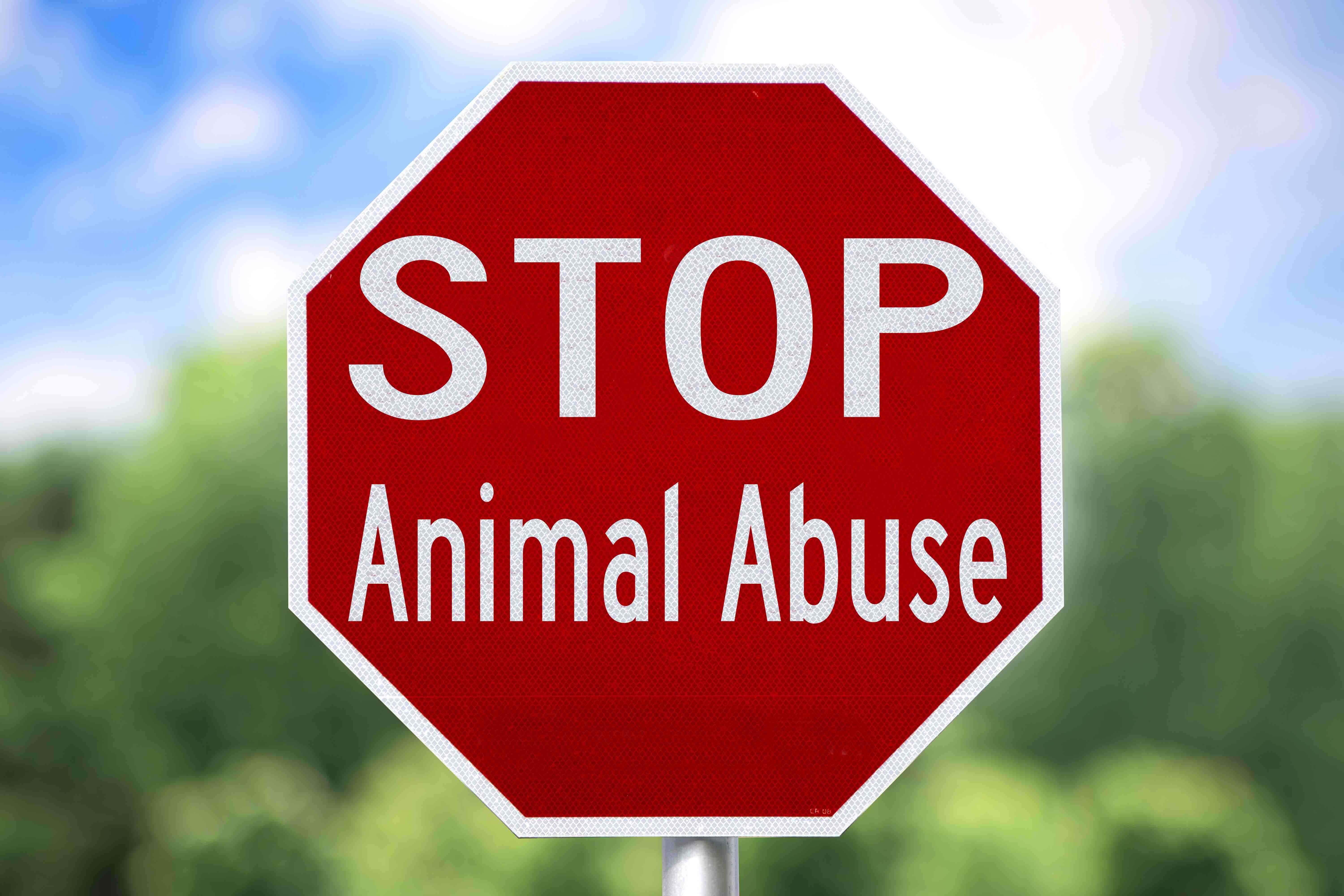 un cartello contro gli abusi sugli animali