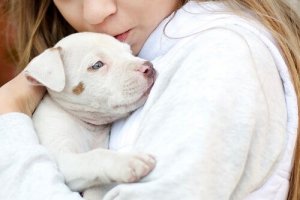 Chi è Temple Grandin?