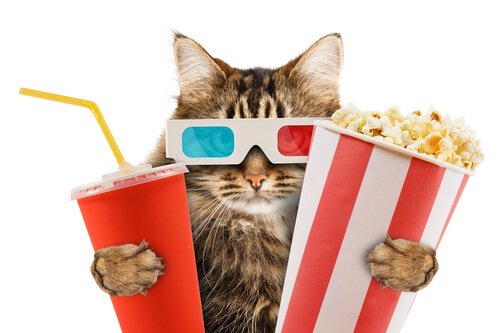 un gatto con occhiali 3D con bibita e popcorn