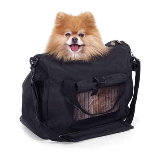 Borsa trasportino con dentro un cagnolino