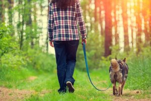4 modi per migliorare la passeggiata con il cane
