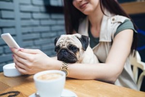 I Millennials e gli animali: una relazione atipica