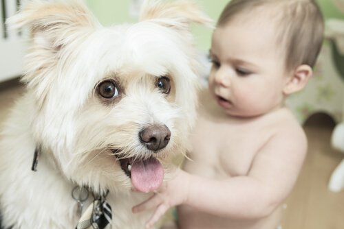 bebè con cagnolino