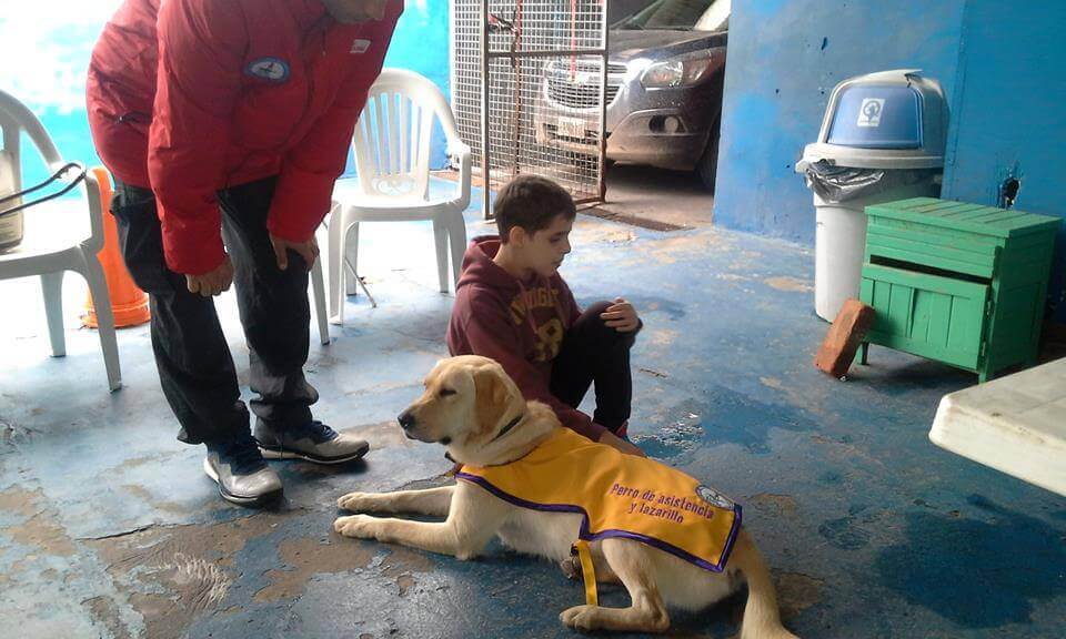 Cane guida e bambino