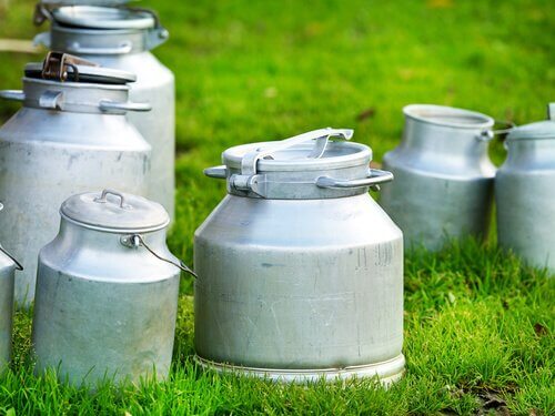 bidoni con latte nel prato