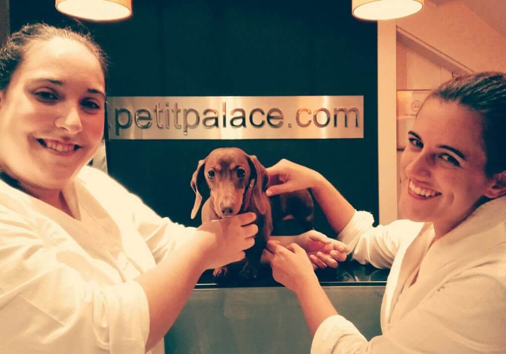 Ragazze con un cane in un hotel per animali