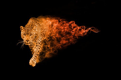 giaguaro che si trasforma in fiamme