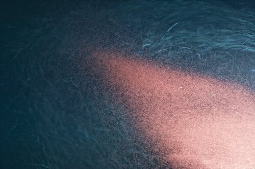 un banco di Krill antartico nell'oceano