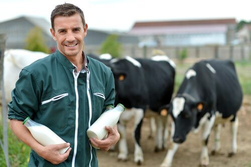 un produttore con due fiaschi di latte davanti ad alcune mucche