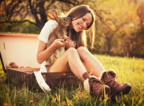 Conigli selvatici e domestici: differenze e curiosità