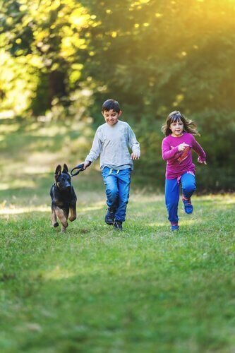 cucciolo di Pastore Tedesco con bambini