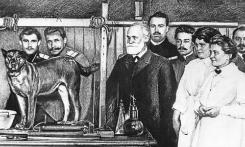 Ivan Pavlov e l'addestramento positivo del cane