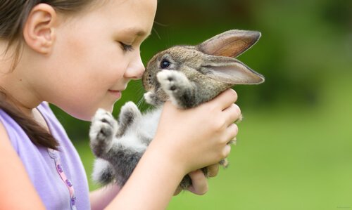 Bambina tiene tra le mani coniglietto