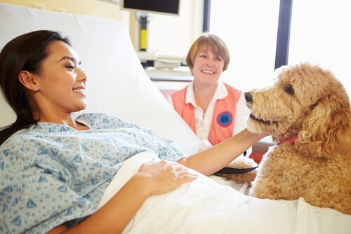 cagnolino in ospedale visita la sua padrona