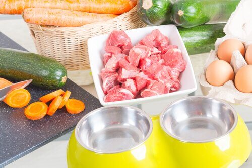 carne, uova e verdure ingredienti della dieta morbida per cani