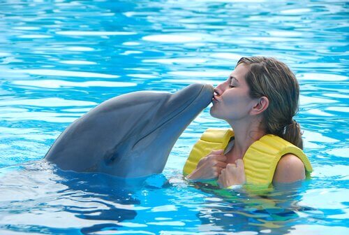 I delfini in cattività soffrono davvero?