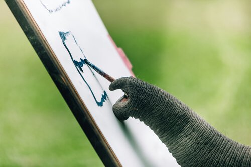 Proboscide di elefante con pennello