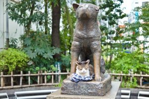 4 cani che seguirono le orme di Hachiko