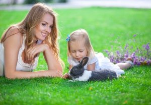 Consigli per giocare con un coniglio