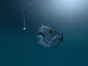 Gli animali che vivono nelle profondità marine