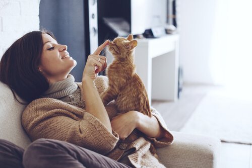 ragazza gioca sul divano con il suo gatto