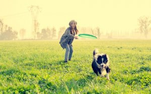 9 attività divertenti per il cane da non perdere