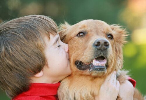 Come insegnare l'amore per gli animali ai figli