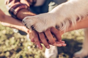 5 modi per dimostrare amore al cane