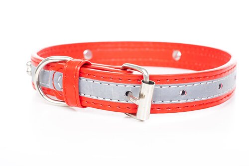 collare luminoso per cani grigio e rosso