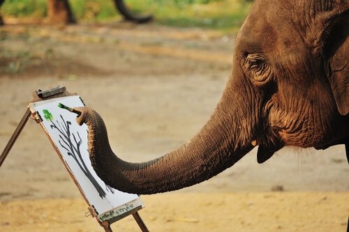 Elefanti che dipingono: è abuso sugli animali?