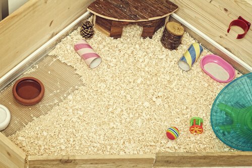 Gabbia migliorata per porcellini d'india