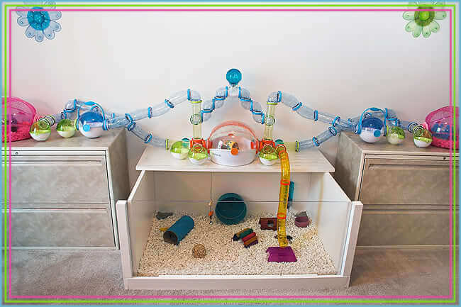 Gabbia per ricevere il criceto a casa