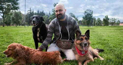 Fisioterapeuta cinofilo con tre cani su un prato